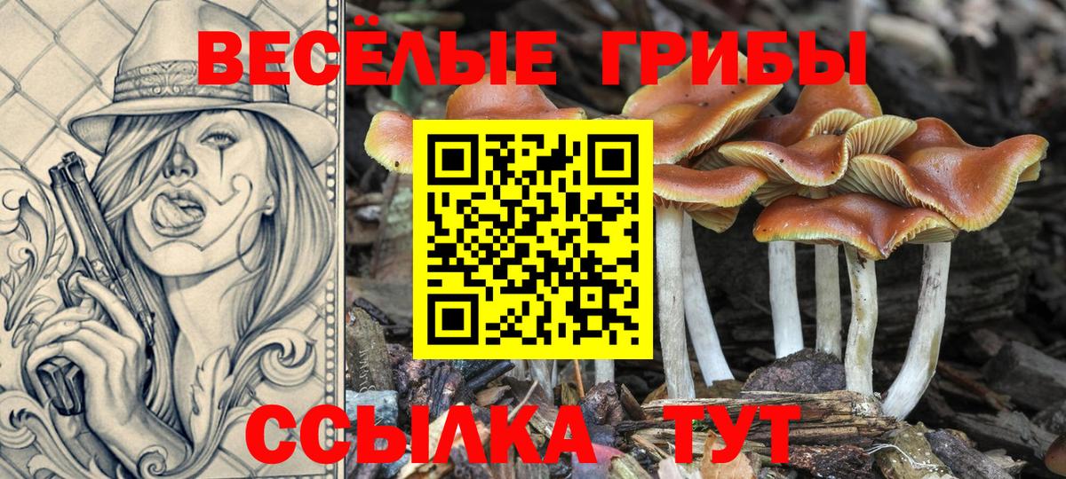 Пугачёв  магазин продажи наркотиков  Вход с VPN  Псилоцибиновые грибы мицелий 